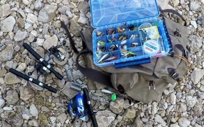 Loaded for Fins