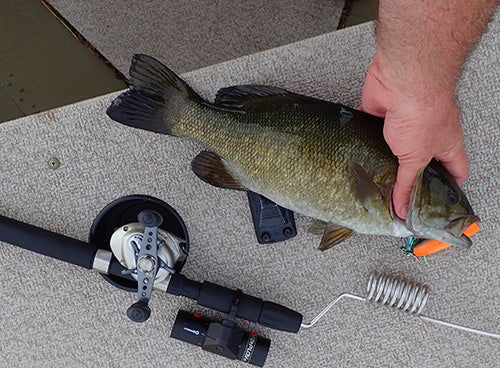 Table for 1 Mr. Bass? Right this way....