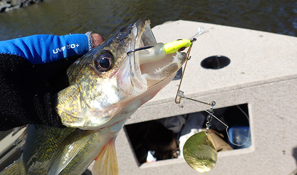 Another Look at the Redfish Magic