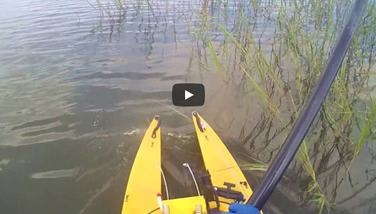 Kayak King II Spin - Emmrod Fishing Gear